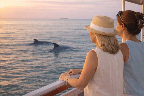 A relaxing dolphin cruise and coastal excursion during a residential wellness immersion.