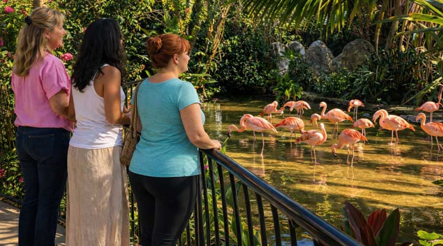 Guided coastal outings and social activities for women's wellness residency Florida Gulf Coast